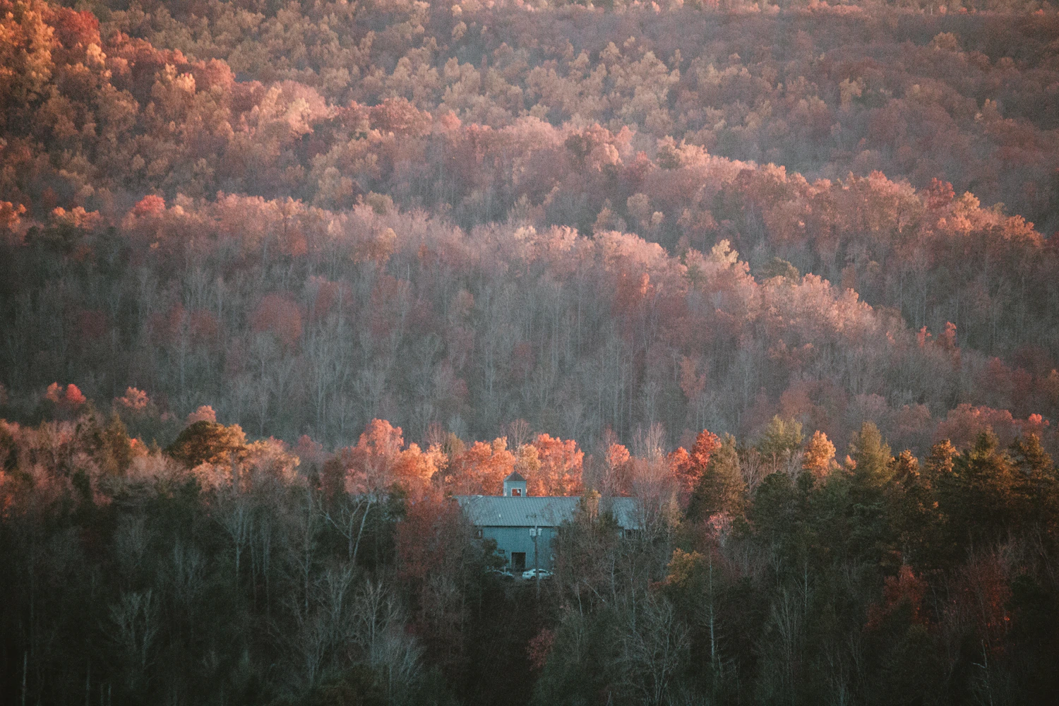 Casa rodeada de bosque con los últimos rayos de sol